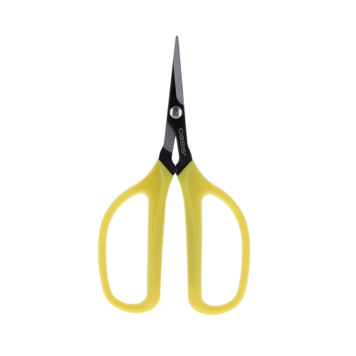 Ciseau Bonsaï Outils caliptus