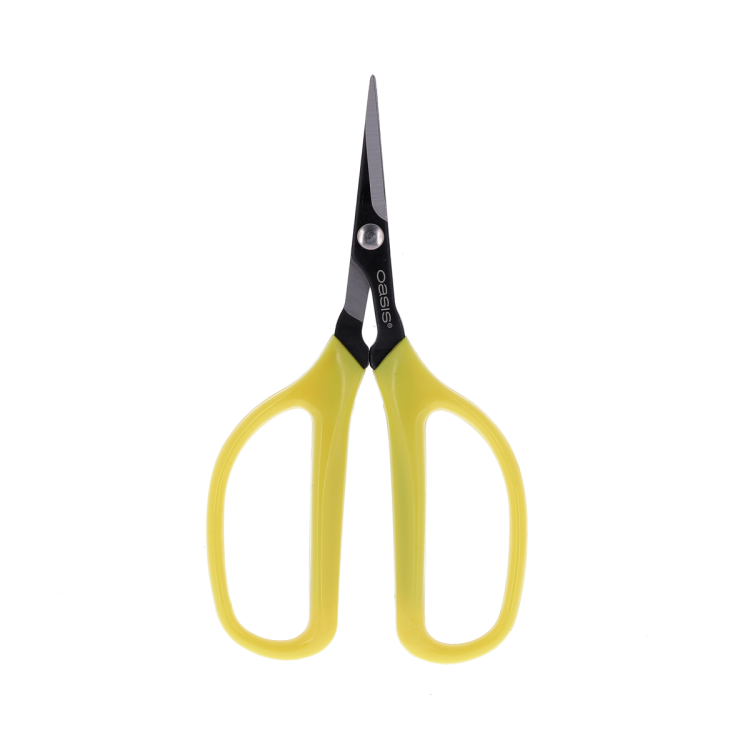 Ciseau Bonsaï Outils caliptus