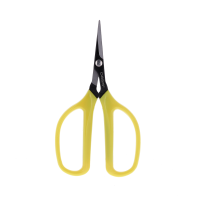 Ciseau Bonsaï Outils caliptus