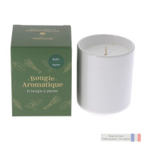 Bougie Aromatique Senteur caliptus