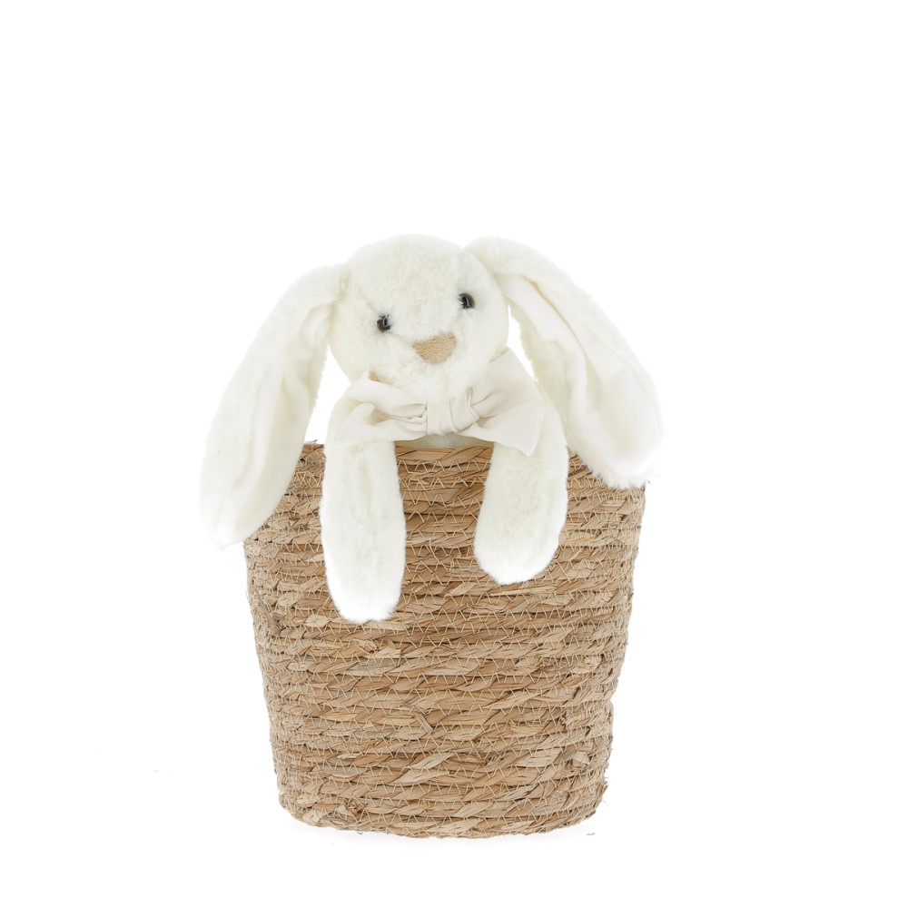 Peluche Oursons caliptus