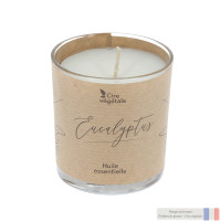 Bougie Parfum Eucalyptus Senteur caliptus