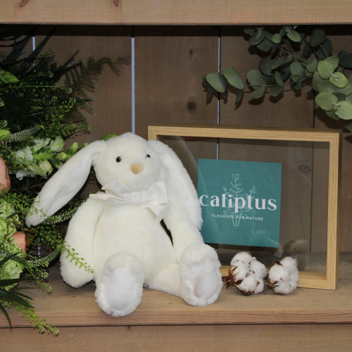 Peluche Oursons caliptus