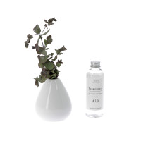 Pack Parfum d'ambiance Senteur caliptus