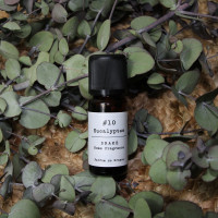Huile Essentielle - Eucalyptus Senteur caliptus