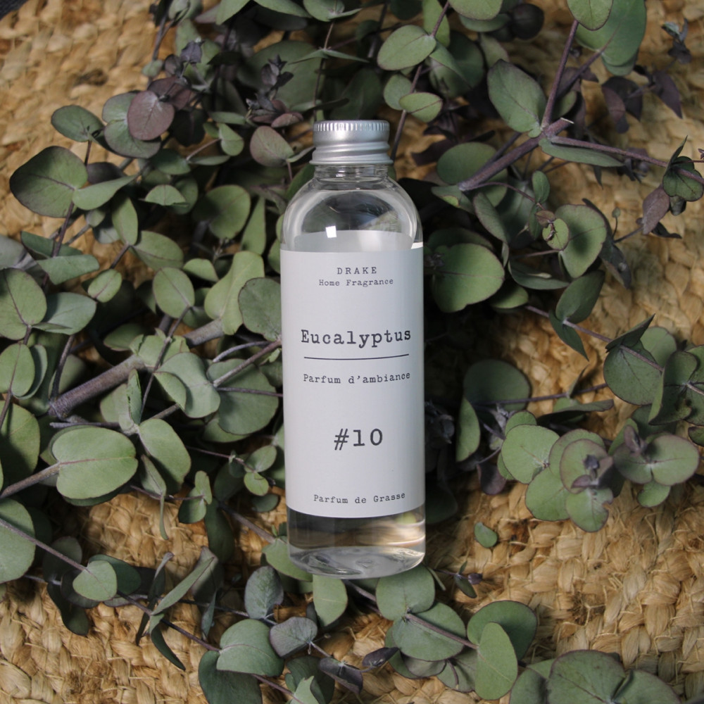 Parfum d'ambiance - Eucalyptus Senteur caliptus