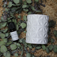 Pack Huile Essentielle Senteur caliptus