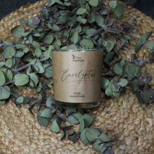 Bougie Parfum Eucalyptus Senteur caliptus