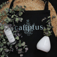 Pack Parfum d'ambiance Senteur caliptus