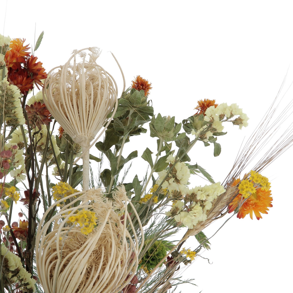 Le Bouquet Feu Fleurs séchées caliptus