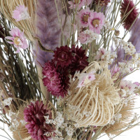Le Bouquet Rosy Fleurs séchées caliptus