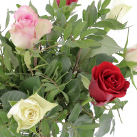 Bouquet Promo Semaine Accueil caliptus