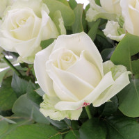 Bouquet de Roses Blanches Bouquets caliptus