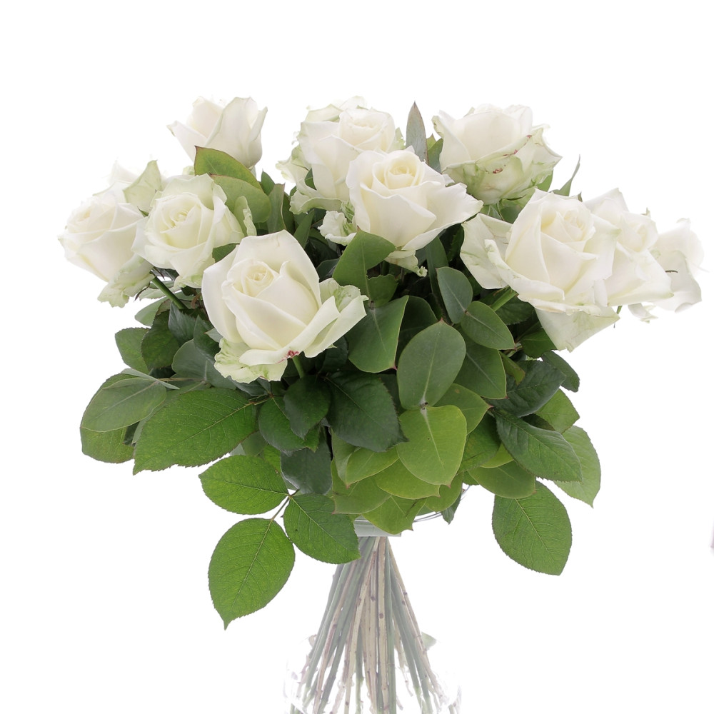 Bouquet de Roses Blanches Bouquets caliptus