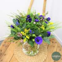 Abonnement Bouquet de Fleurs Abonnement caliptus