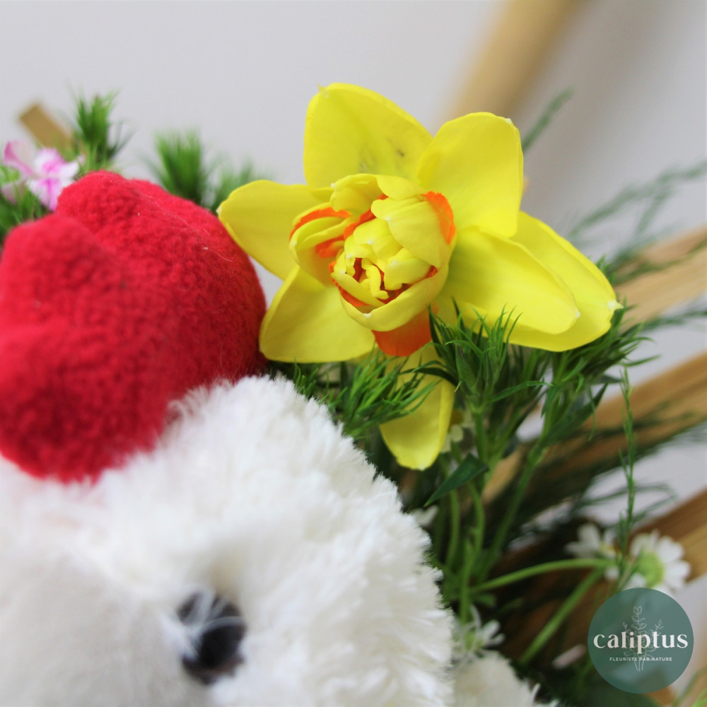 Abonnement Bouquet de Fleurs Abonnement caliptus