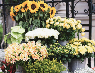 Bouquet à composer en ligne